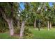 Secluded back yard with mature trees, lush landscaping, and wildlife features at 4211 73Rd E Ter, Sarasota, FL 34243