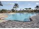 Large community pool with plenty of seating, umbrellas, and palm trees at 5952 Snowy Egret Dr, Sarasota, FL 34238