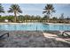 Community pool with palm trees, chairs and tables with umbrellas perfect for a hot day at 5952 Snowy Egret Dr, Sarasota, FL 34238