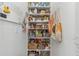 Pantry with plenty of shelving, storage baskets, and a variety of well-organized food items at 6015 S Elkins Ave, Tampa, FL 33611
