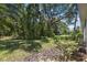 An expansive backyard featuring a lush lawn, mature trees, and tropical plantings at 7439 Sea Island Ln, University Park, FL 34201