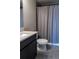 This bathroom features a sink and toilet next to a shower with a shower curtain at 11702 Tetrafin Dr, Riverview, FL 33579