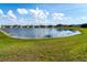 Scenic view of a tranquil pond surrounded by lush green grass, creating a peaceful atmosphere at 11702 Tetrafin Dr, Riverview, FL 33579