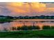 Scenic pond view with wildlife and beautiful sunset reflecting on the water at 11702 Tetrafin Dr, Riverview, FL 33579