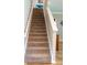 Carpeted staircase with white railings, leading to the upper level of the home at 11702 Tetrafin Dr, Riverview, FL 33579