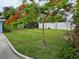 Spacious, lush green yard accented by a vibrant flowering tree and complemented by a sleek, modern privacy fence at 1654 Blakemore Ln, Sarasota, FL 34231