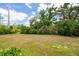 Expansive backyard area perfect for outdoor activities and enjoying the serene surroundings at 1800 Little Bird Ct, Sarasota, FL 34235