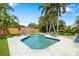 Enjoy a refreshing swim in the backyard pool, surrounded by lush greenery and palm trees at 2311 Sunnyside Pl, Sarasota, FL 34239