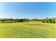 Lush green backyard with a view of the pond and trees at 618 148Th Ne Ct, Bradenton, FL 34212