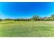 Wide expanse of green grass in the backyard, with view of other homes and trees at 618 148Th Ne Ct, Bradenton, FL 34212