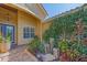 Entrance to the home showing manicured bushes and the front window at 6600 Horned Owl Pl, Sarasota, FL 34241