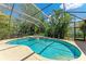 Screened in private pool with lush landscaping and sun loungers at 7913 Osprey Hammock Ct, Sarasota, FL 34240