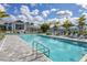 Beautiful, spacious pool with lounge chairs, umbrellas and palm trees; perfect for relaxation at 10217 Canaveral Cir, Sarasota, FL 34241