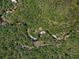 Aerial view of winding creek through wooded, green landscape at 12615 River Rd, Myakka City, FL 34251