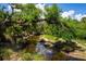 Scenic creek view surrounded by lush greenery, creating a tranquil natural setting at 12615 River Rd, Myakka City, FL 34251