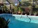 Inviting screened-in pool with clear water, surrounded by a variety of potted plants at 405 Park N Blvd, Venice, FL 34285