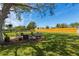 Large backyard with a cozy fire pit area beneath a mature tree, offering an inviting space for relaxation and outdoor enjoyment at 5704 2Nd Avenue Nw Dr, Bradenton, FL 34209