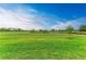 Lush green golf course with manicured lawn for recreation at 5810 Brandon Run, Bradenton, FL 34211