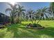 Spacious backyard boasts lush lawn, palm trees, and manicured landscaping, providing a serene outdoor space at 6642 Oakland Hills Dr, Lakewood Ranch, FL 34202