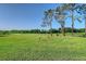 Scenic golf course view with well-maintained green, mature trees, and wildlife at 6642 Oakland Hills Dr, Lakewood Ranch, FL 34202