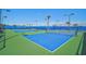 Well-maintained tennis courts surrounded by lush greenery at 8313 Ocean Tides Cv, Parrish, FL 34219