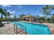 Inviting community pool with lounge chairs and lush palm trees at 5356 Mang Pl # 1404, Sarasota, FL 34238