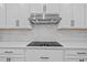 Modern kitchen with cooktop and stylish vent hood at 11719 Chevelon Ln, Parrish, FL 34219