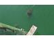 Underwater view of two turtles swimming in a pond at 1431 57Th W St # 1431, Bradenton, FL 34209