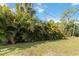 Large landscaping of tropical plants in the backyard for privacy at 18033 Edgewater Dr, Port Charlotte, FL 33948