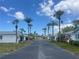 A wide shot shows a street lined with palm trees and houses under a partly cloudy blue sky at 6072 Arlene Way # 6072, Bradenton, FL 34207