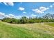 Well-maintained landscaping with lush tropical plants enhancing the natural beauty of the property at 6267 Crested Eagle Ln, Nokomis, FL 34275