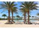 Gathering-friendly community pool with palm trees, lounge seating, and splash pad at 7158 Westhill Ct, Lakewood Ranch, FL 34202