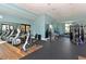 Fitness center featuring exercise machines, free weights, and fitness accessories at 7158 Westhill Ct, Lakewood Ranch, FL 34202