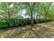 A verdant backyard with mature trees lining the black iron fence offering privacy at 7576 Plantation Cir, Bradenton, FL 34201