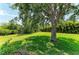 The expansive backyard features lush green grass, mature trees providing shade, and dense privacy hedging around the property at 8136 Snowy Egret Pl, Bradenton, FL 34202