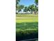 Scenic view of the golf course from the property, showcasing lush green fairways and mature trees at 4812 Sand Trap E Cir, Bradenton, FL 34203