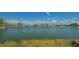 A wide lake view with cattails in the foreground and neighborhood houses in the distance at 1085 Mallard Marsh Dr, Osprey, FL 34229
