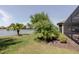 Lush backyard landscaping and palm trees lead to a tranquil lake, offering a private retreat at 12740 Del Corso Loop, Lakewood Ranch, FL 34211