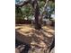 Expansive backyard area featuring mature trees and a wood privacy fence around the property at 1461 17Th St, Sarasota, FL 34234
