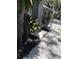 Exterior back yard of home featuring landscaped planting and white gravel covered ground at 1461 17Th St, Sarasota, FL 34234