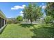 Lush backyard featuring a large tree, green grass, and a glimpse of the lake at 15032 Skip Jack Loop, Lakewood Ranch, FL 34202
