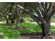 Tranquil view of a park-like setting with mature trees and a well-manicured lawn at 340 Osprey Point Dr, Osprey, FL 34229