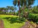 Lush backyard featuring mature palm trees, vibrant greenery, and meticulously manicured landscaping at 355 Melrose Ct, Venice, FL 34292