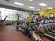 Well-equipped gym with treadmills, elliptical machines, free weights, and a view of the lake at 355 Melrose Ct, Venice, FL 34292