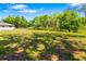 Beautifully landscaped yard with lush green grass and mature trees under a sunny blue sky at 7158 S Leewynn Dr, Sarasota, FL 34240