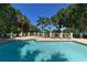 Sparkling community pool surrounded by lounge chairs and tropical landscaping at 8263 Nice Way, Sarasota, FL 34238