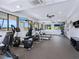 Community gym with treadmills, elliptical machines, weights, television, and rubber flooring at 142 Dory Ln, Osprey, FL 34229