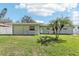 Backyard with lush green grass and palm trees at 1440 S Keene Rd, Clearwater, FL 33756