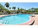 Community pool with lounge chairs surrounded by tropical landscaping at 3403 Clark Rd # 203, Sarasota, FL 34231