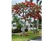 Well-maintained community grounds feature mature trees, shrubs and lawns at 3710 Gulf Of Mexico Dr # E22, Longboat Key, FL 34228